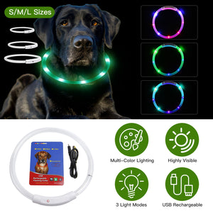 Dog wearing a multicolor light-up collar with size and product feature details