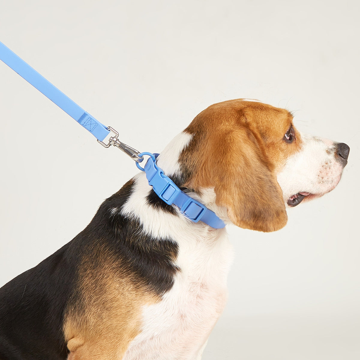 Dog Collar - Sport (Quick Release Buckle)