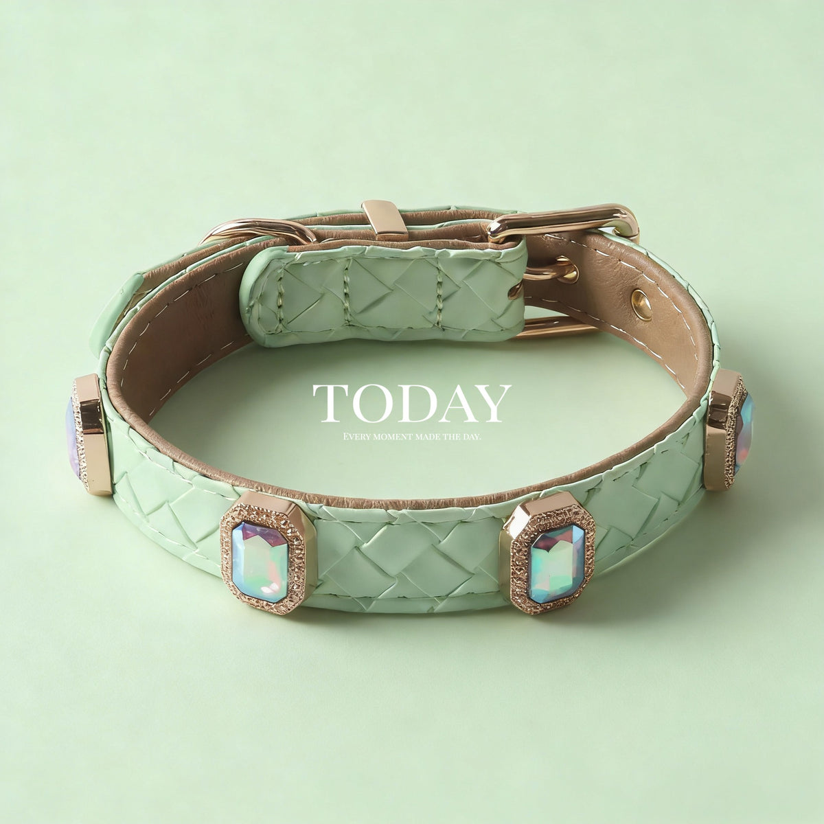 Premium Braided Leather Dog Collar with Rhinestone Detail
