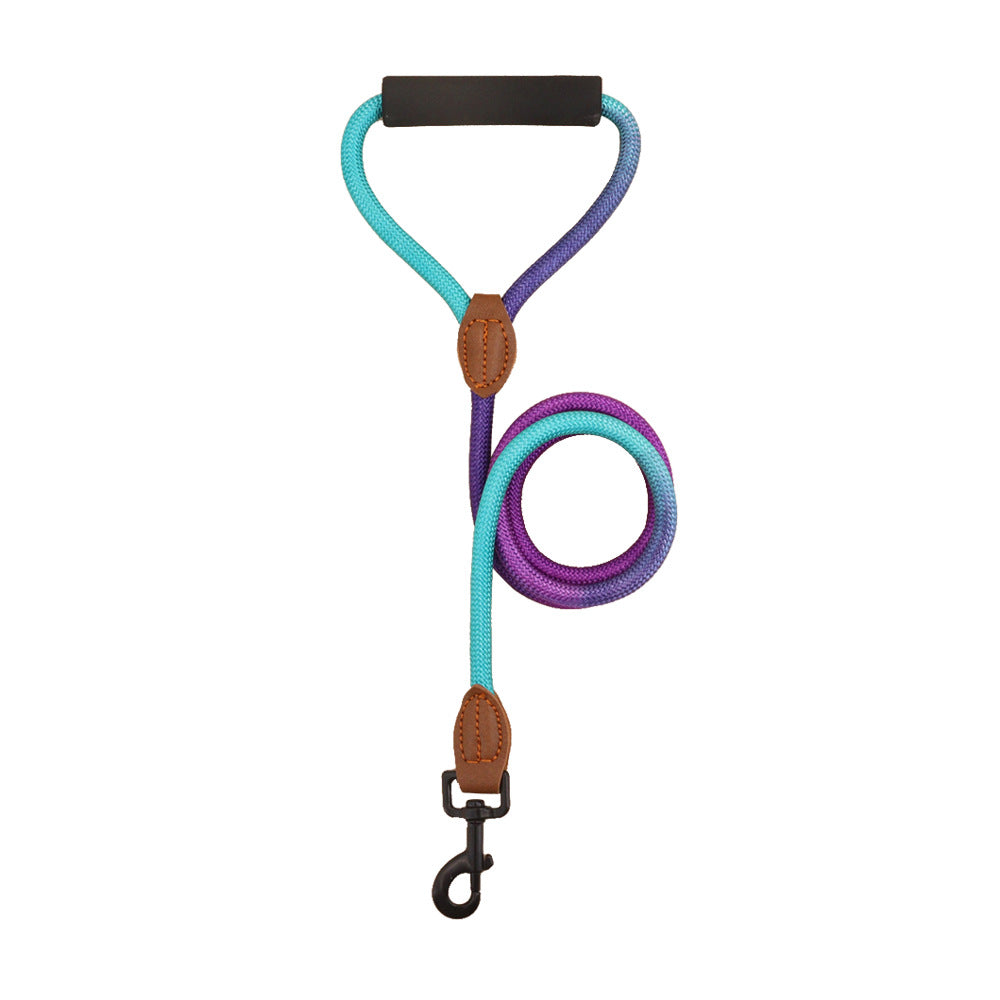 Blue and purple gradient rope dog leash with padded handle and metal clip