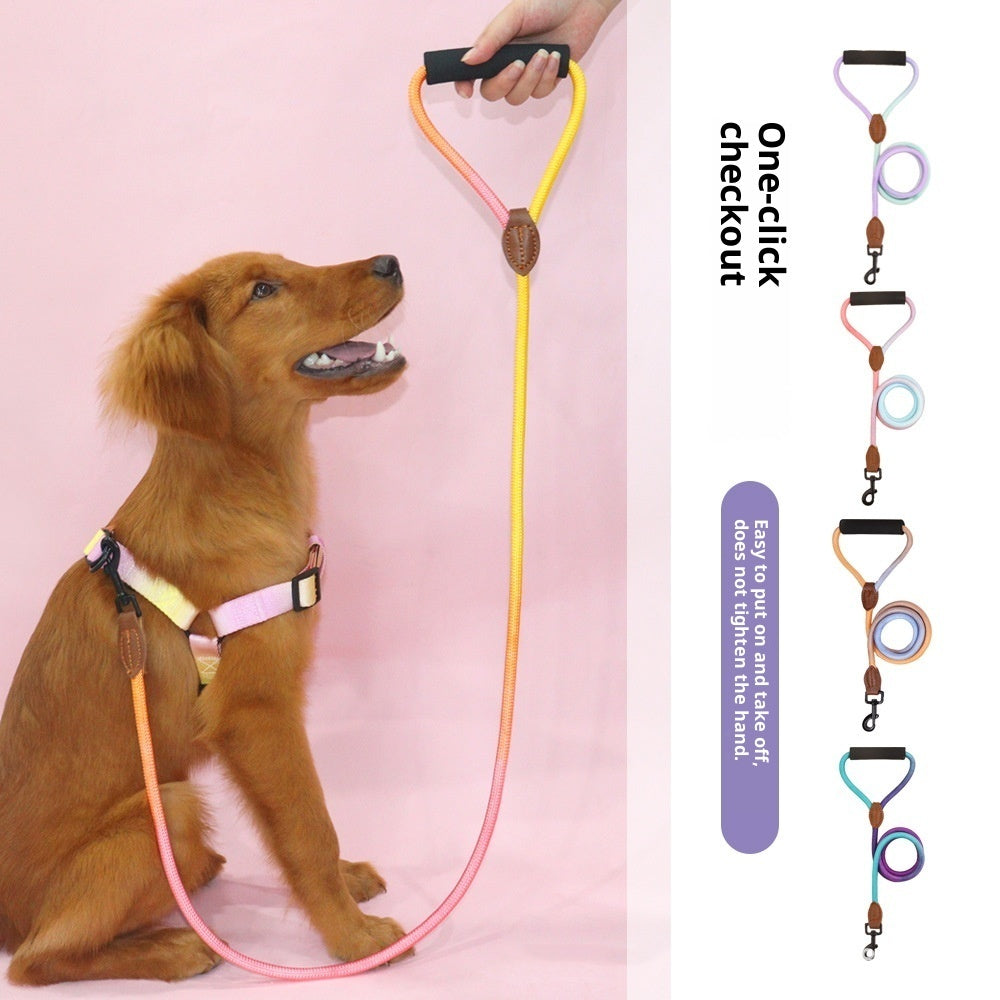Dog wearing a yellow and pink gradient rope leash with color options shown