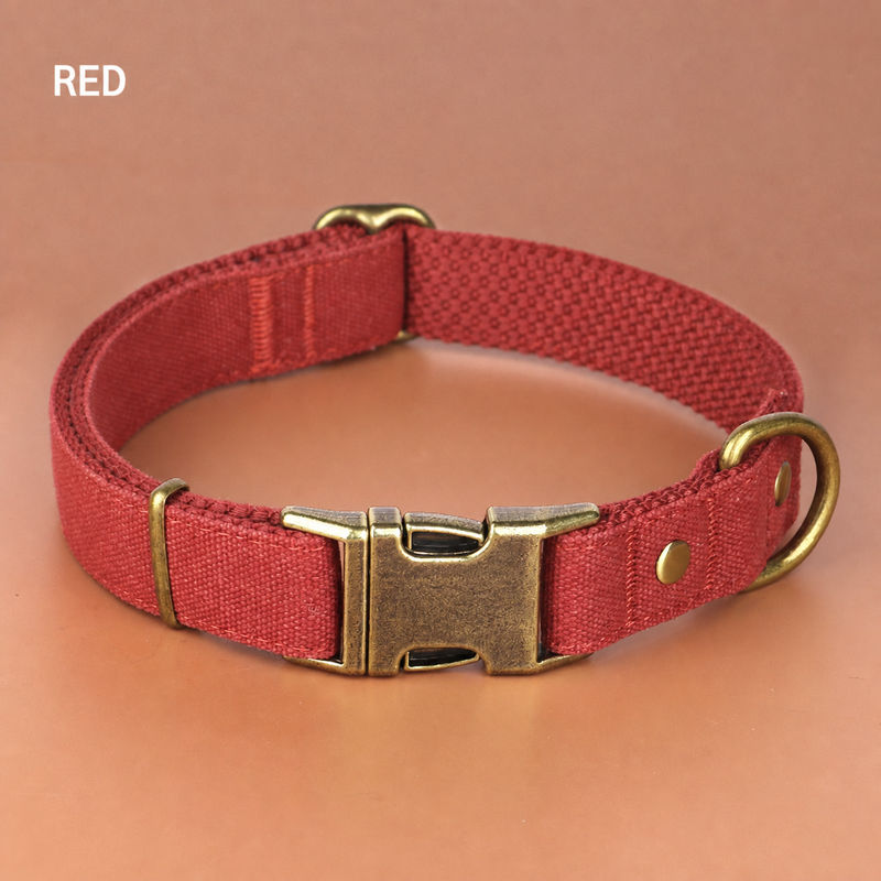 Personalized Engraved Dog Collar & Leash Set