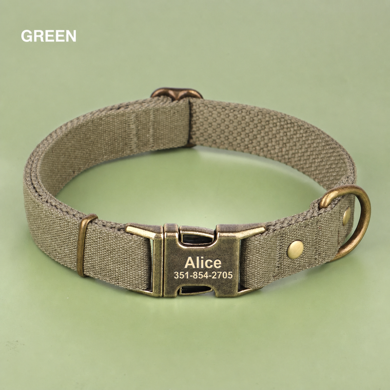 Personalized Engraved Dog Collar & Leash Set
