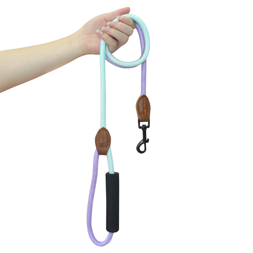 Mint and purple gradient rope dog leash held by its padded handle