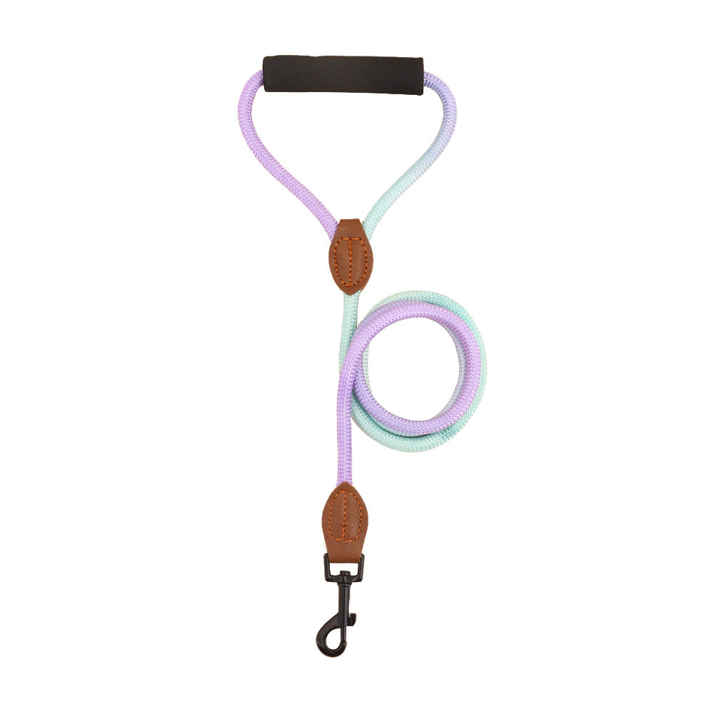 Two mint and purple gradient rope dog leashes shown side by side