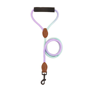 Two mint and purple gradient rope dog leashes shown side by side