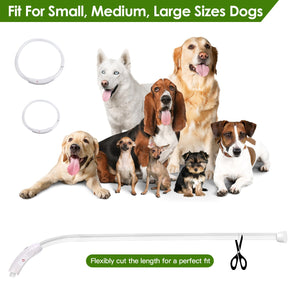 Cut-to-fit white LED dog collar shown with small, medium and large dogs