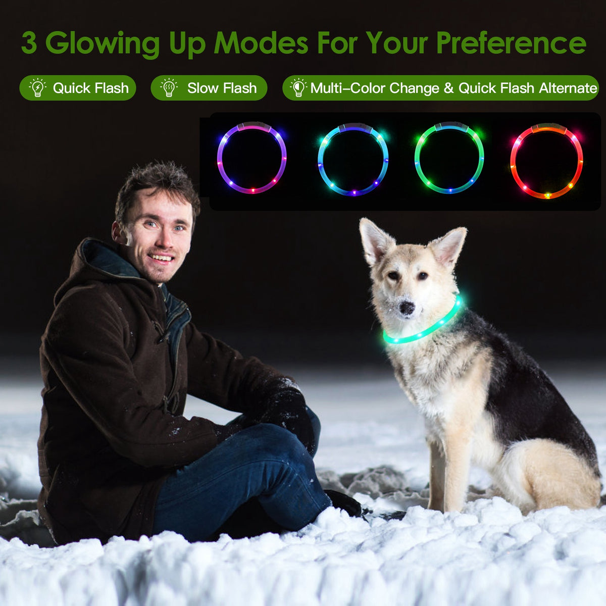 Dog wearing a glowing LED collar with examples of three multicolor light modes