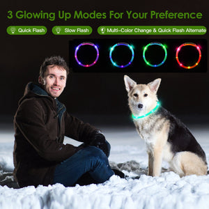 Dog wearing a glowing LED collar with examples of three multicolor light modes
