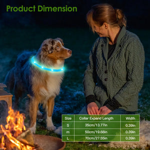 Dog wearing a blue rechargeable LED collar beside small, medium and large size measurements