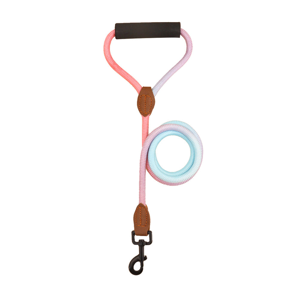 Pink and blue gradient rope dog leash with padded handle and metal clip