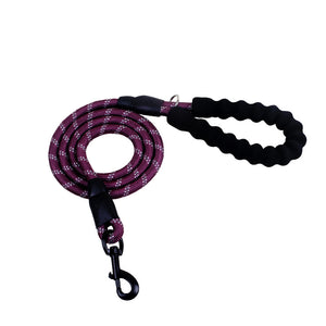 Purple reflective rope dog leash with a black padded handle and metal clasp